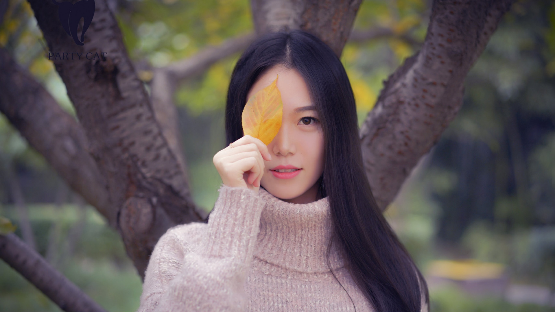 秋叶佳人，一抹温柔意