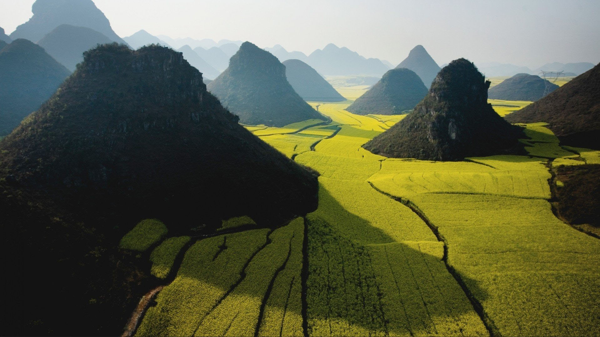 山峦间的金黄油菜盛景